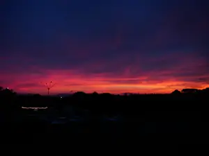 DSC00338.JPG